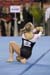 06NCAAR1D_0126