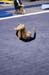 06NCAA1S2D_0129