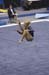 06NCAA1S2D_0130