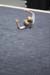 06NCAAS12K_1121