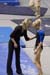 06NCAA2F4K_1246